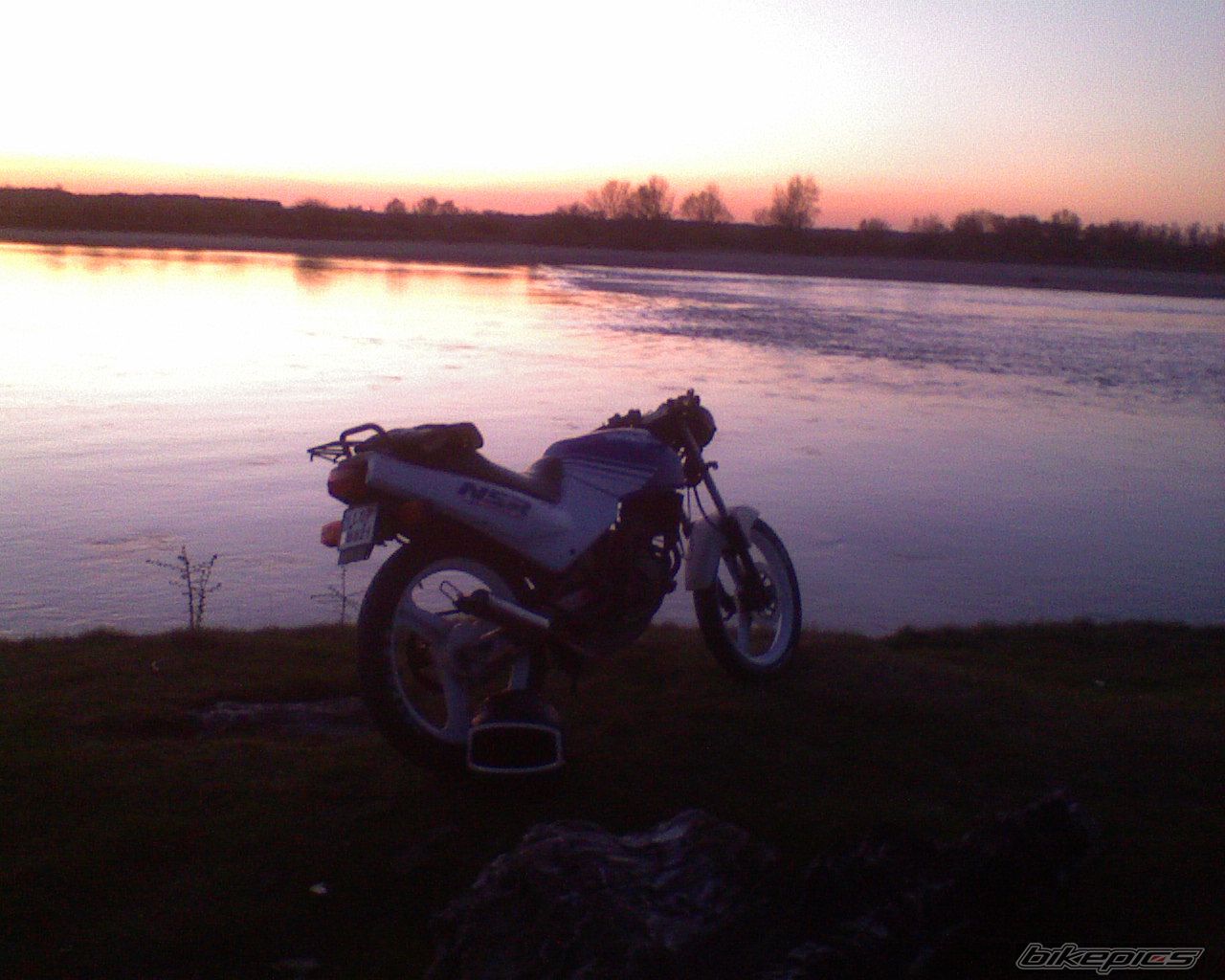 1990 HONDA NSR 50 | Picture 862205 motorcycle photo