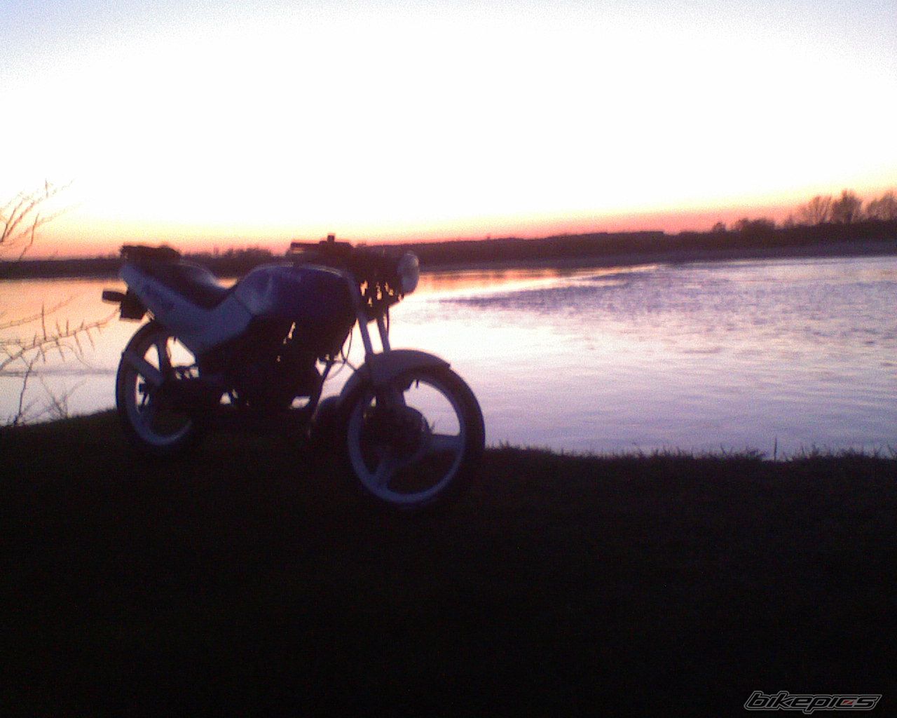 1990 HONDA NSR 50 | Picture 862207 motorcycle photo