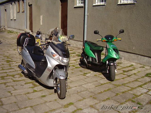2001 SUZUKI BURGMAN 250 | Picture 862758 motorcycle photo