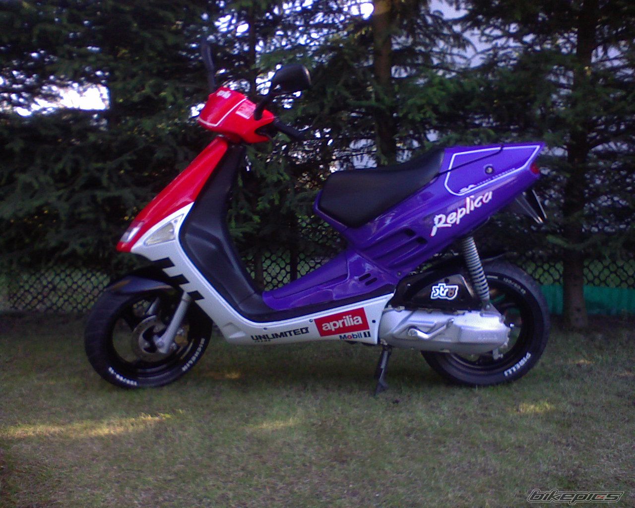 1992 APRILIA SR 50 | Picture 863138 motorcycle photo
