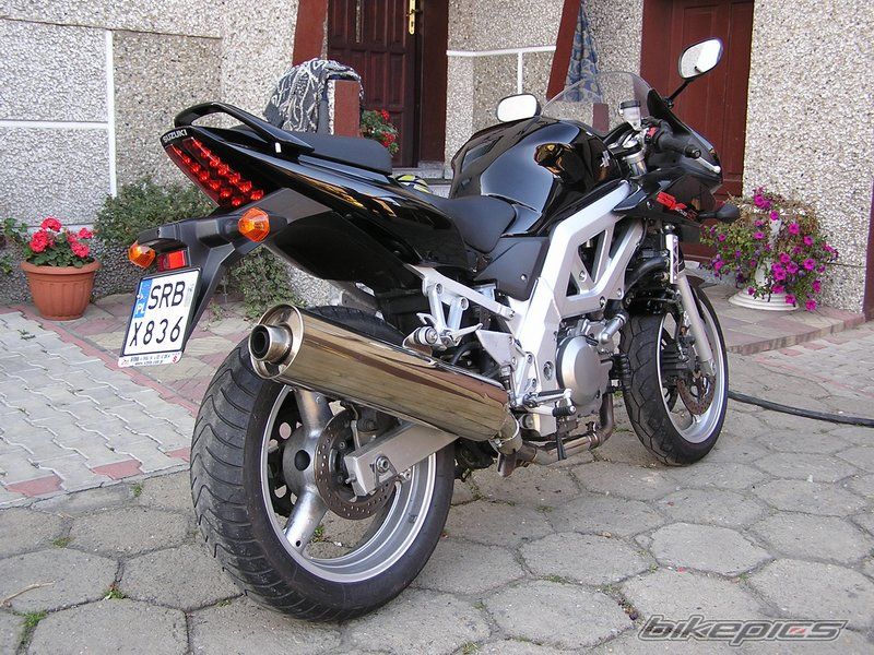 2004 SUZUKI SV 650S | Picture 863956 motorcycle photo