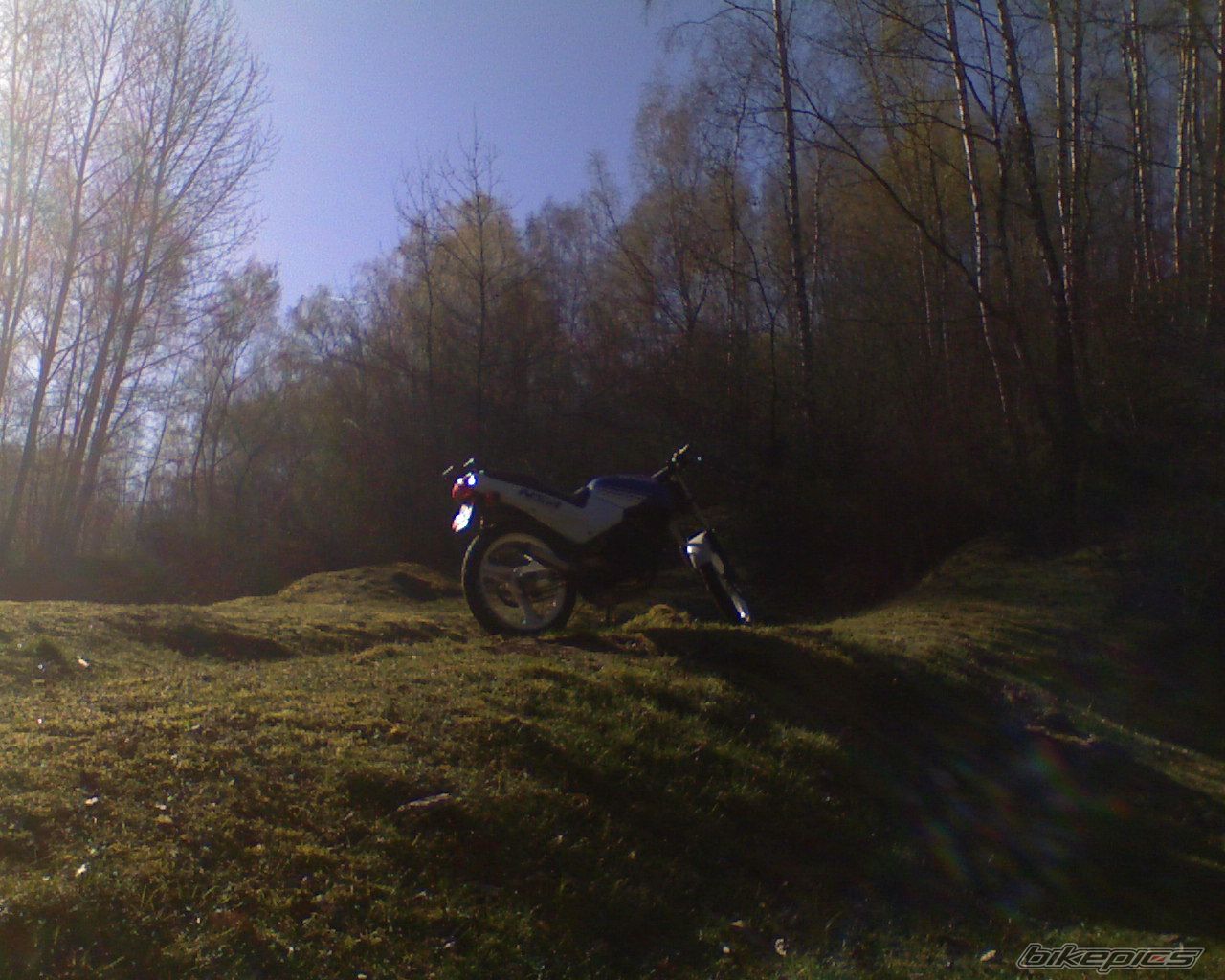 1990 HONDA NSR 50 | Picture 864355 motorcycle photo