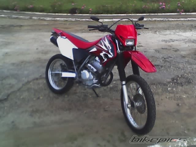 2002 HONDA XR 250 | Picture 864368 motorcycle photo