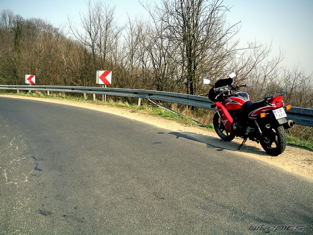 1993 HONDA CB 500 | Picture 864927 motorcycle photo