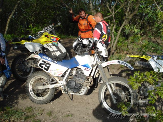1986 HONDA XL 600 | Picture 865837 motorcycle photo