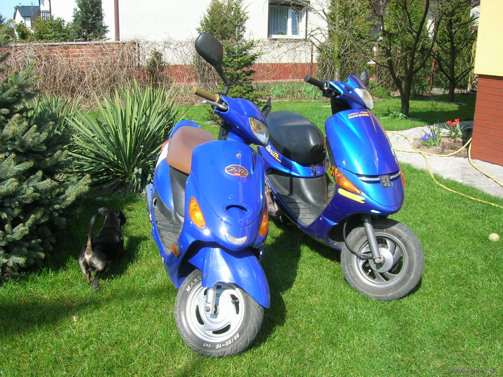 2000 KYMCO FILLY 50 | Picture 866286 motorcycle photo