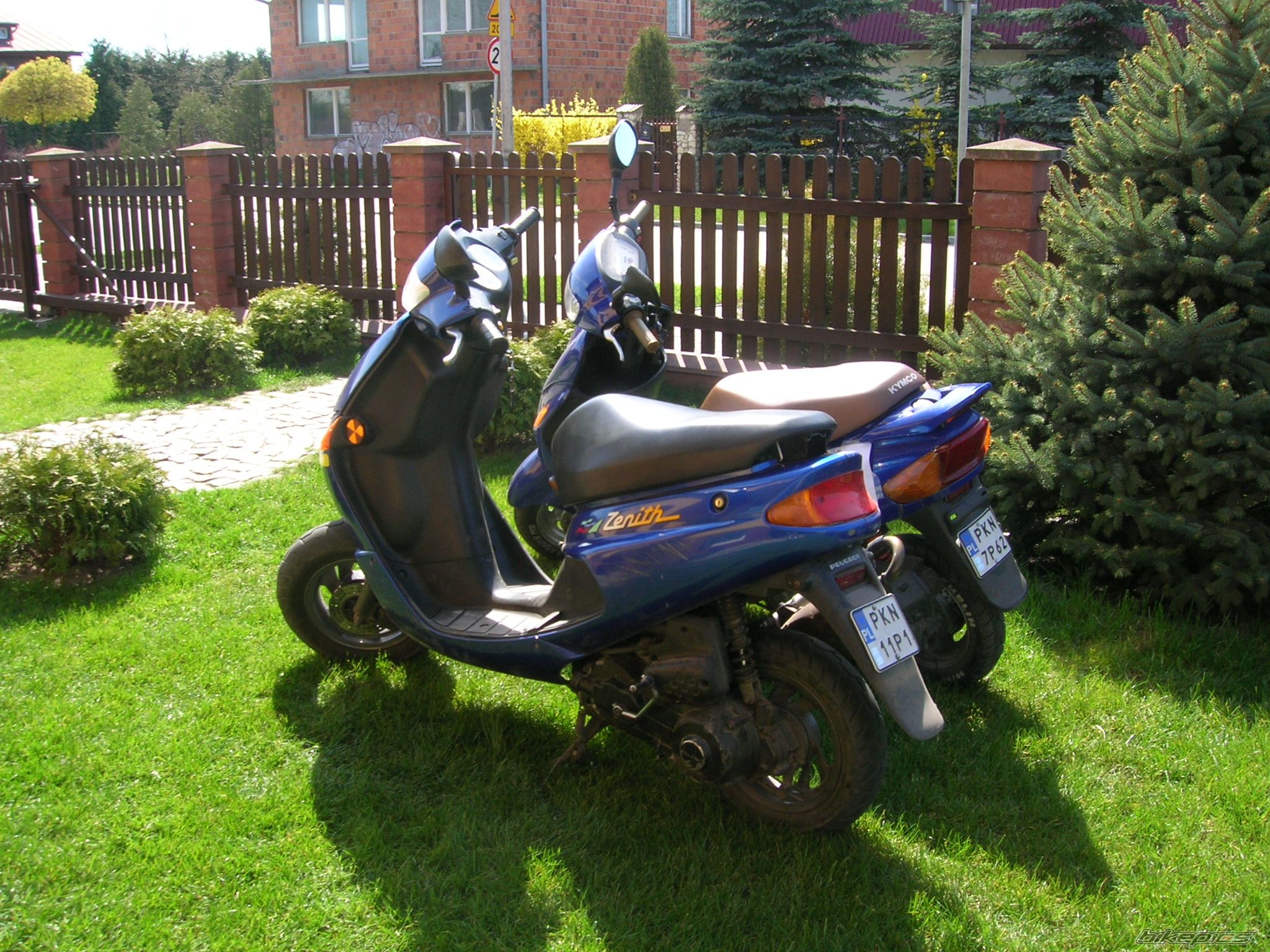 2000 KYMCO FILLY 50 | Picture 866295 motorcycle photo