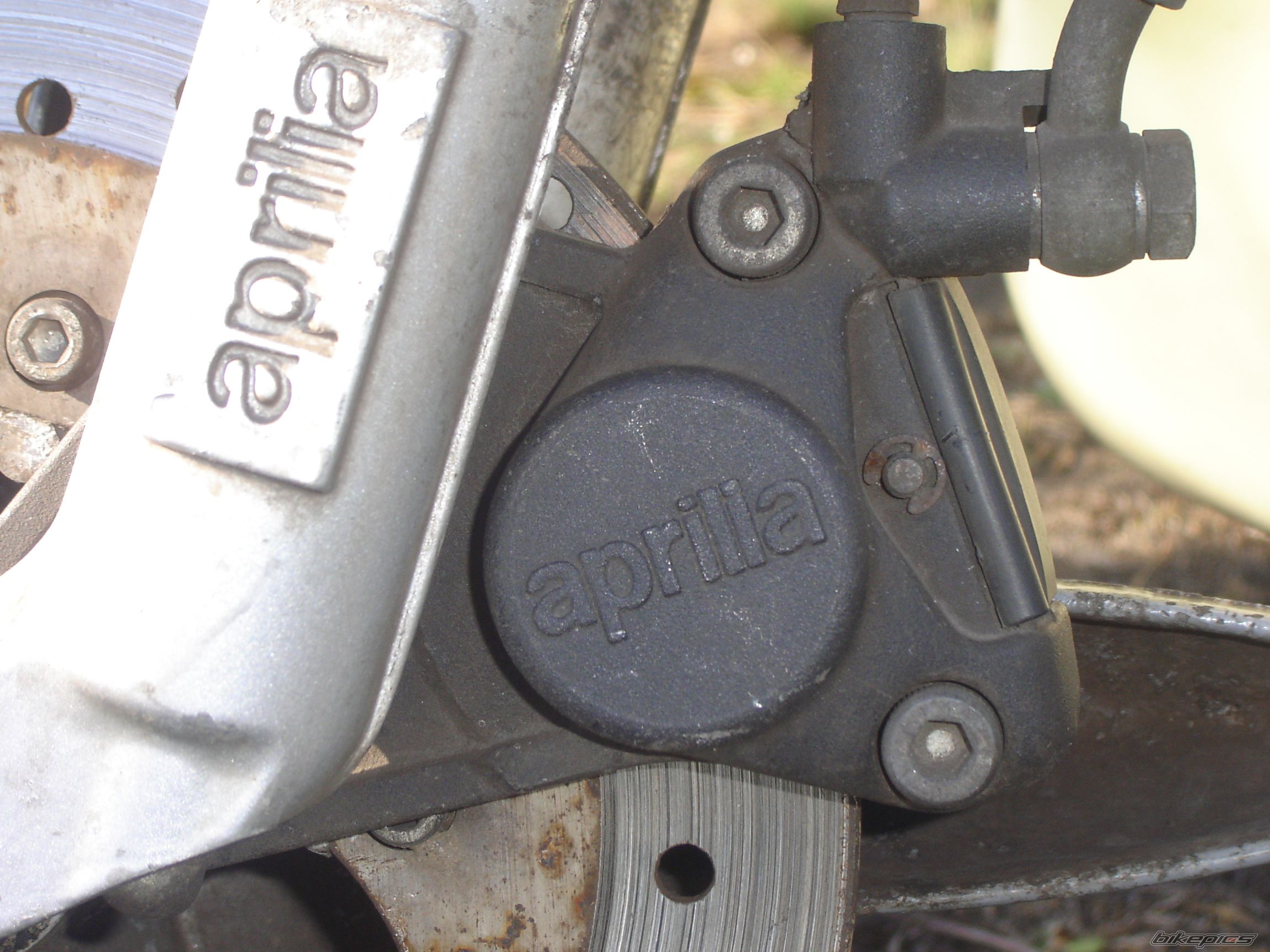 1995 APRILIA SCARABEO 50 | Picture 866561 motorcycle photo