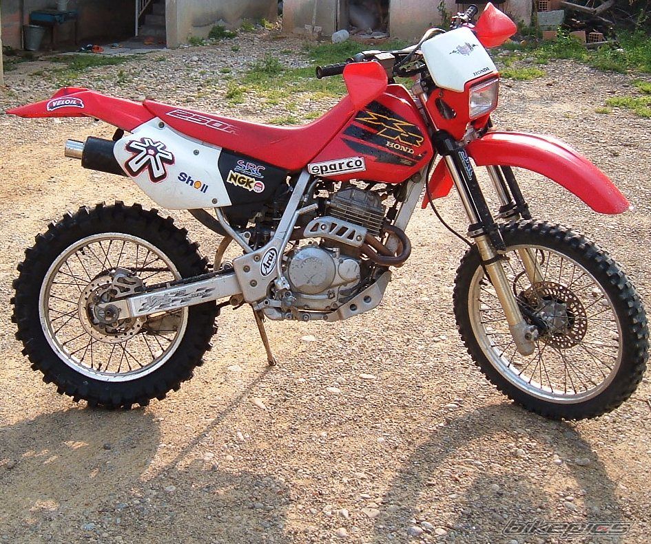2001 HONDA XR 250 | Picture 866569 motorcycle photo