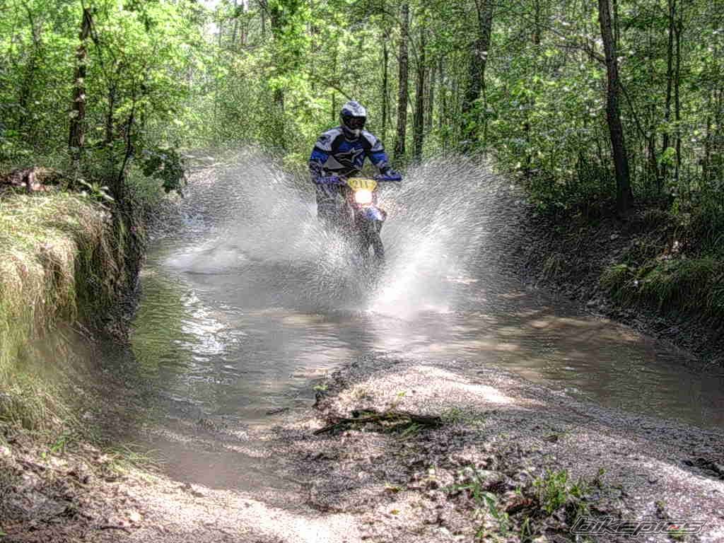 2003 YAMAHA WR 250F | Picture 866802 motorcycle photo
