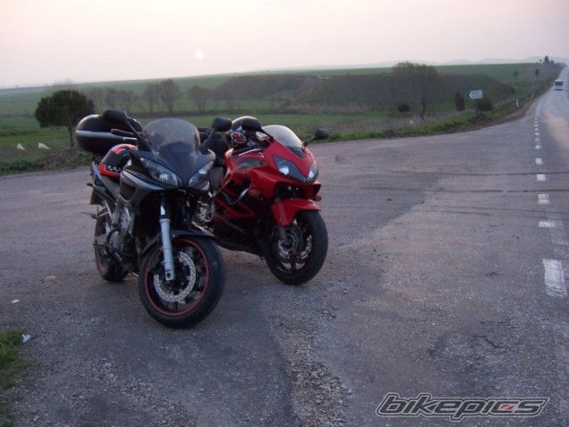 2006 HONDA CBR 600 | Picture 866881 motorcycle photo