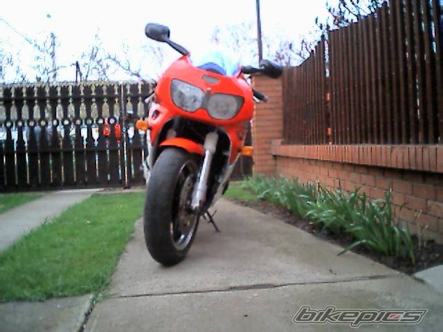 1997 HONDA CBR 900 | Picture 86745 motorcycle photo