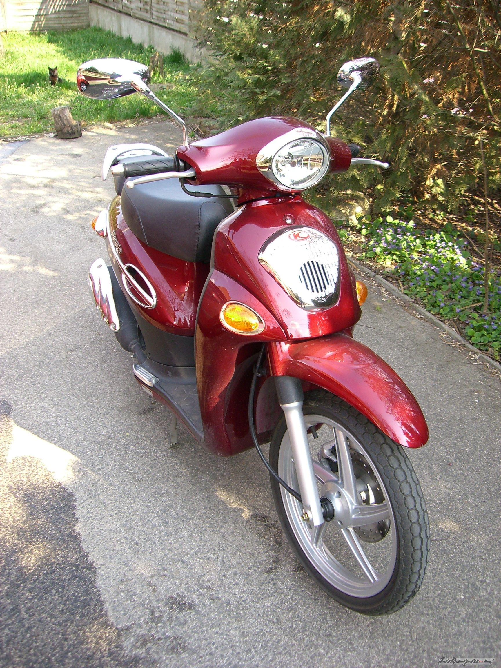 2005 KYMCO PEOPLE 50 | Picture 867525 motorcycle photo