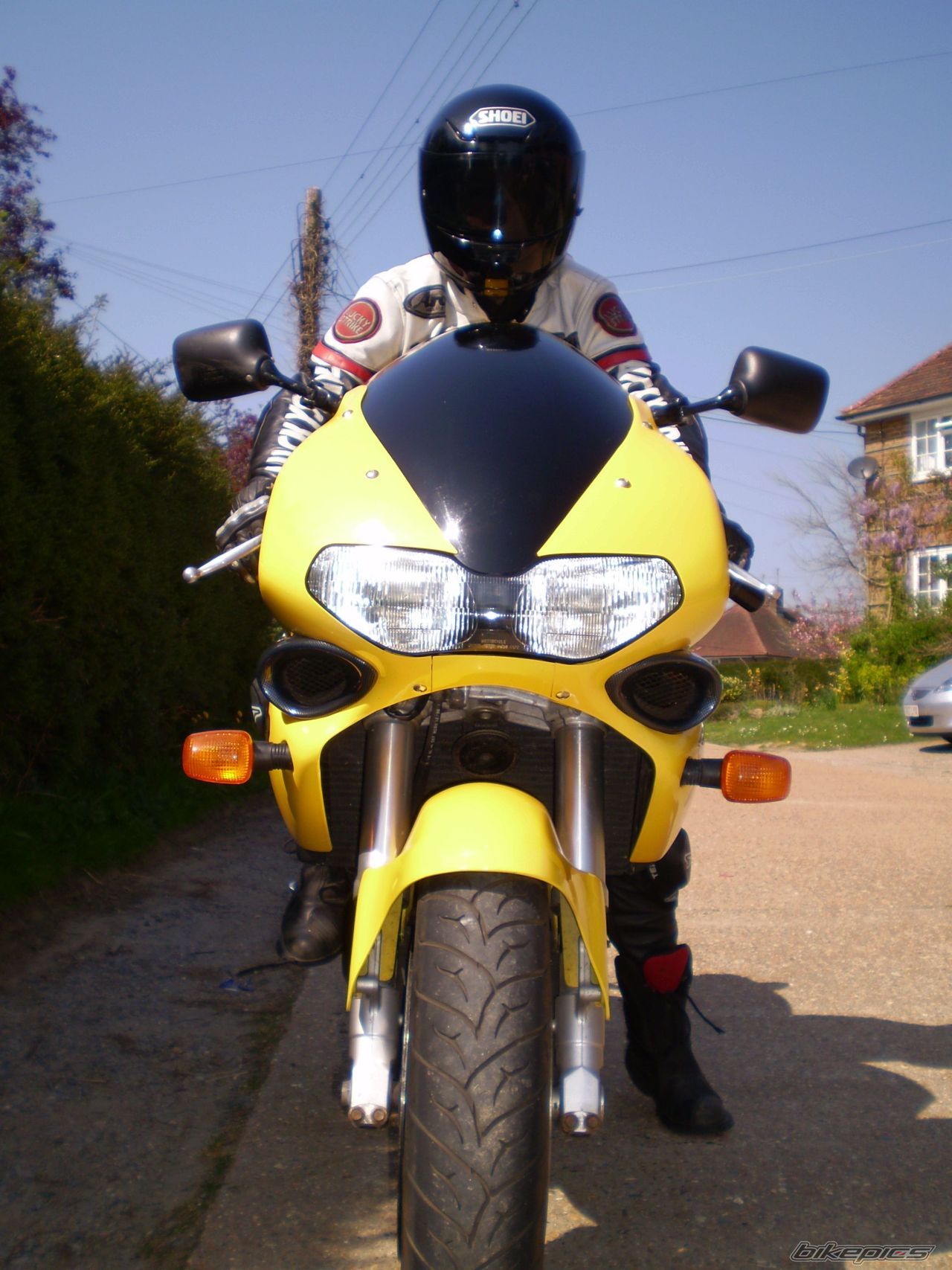 1998 SUZUKI TL1000S | Picture 868214 motorcycle photo