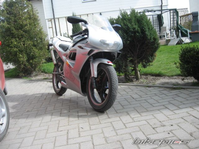 1997 APRILIA RS 50 | Picture 868589 motorcycle photo