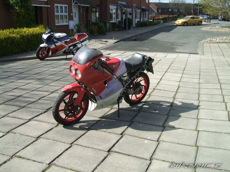 1990 APRILIA AF1 FUTURA 50 | Picture 868595 motorcycle photo