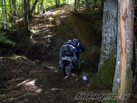 2006 BETA RR 125 | Picture 870871 motorcycle photo