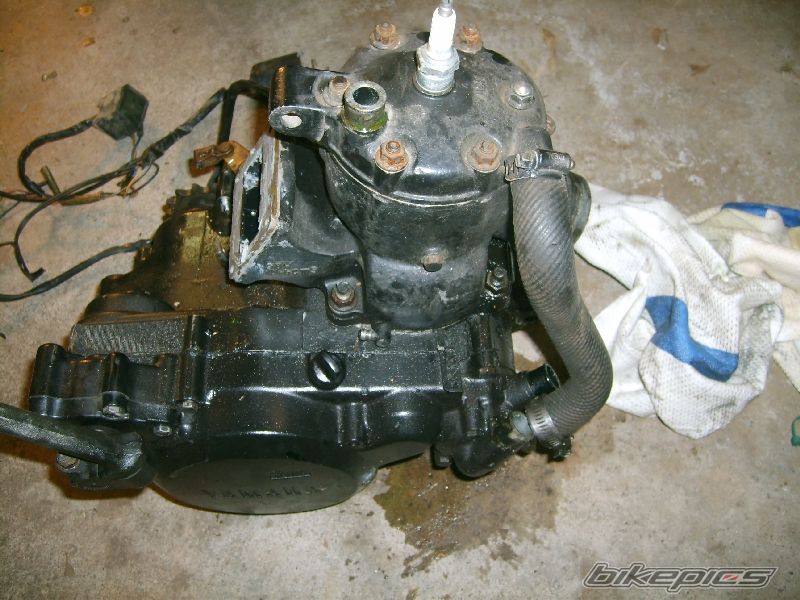 1985 YAMAHA TRI Z 250 | Picture 871018 motorcycle photo