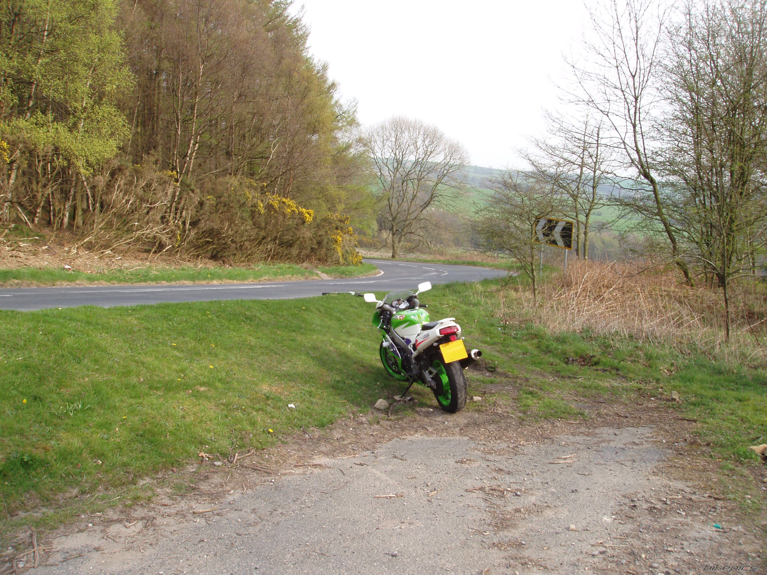 1999 KAWASAKI ZXR 400 | Picture 871067 motorcycle photo