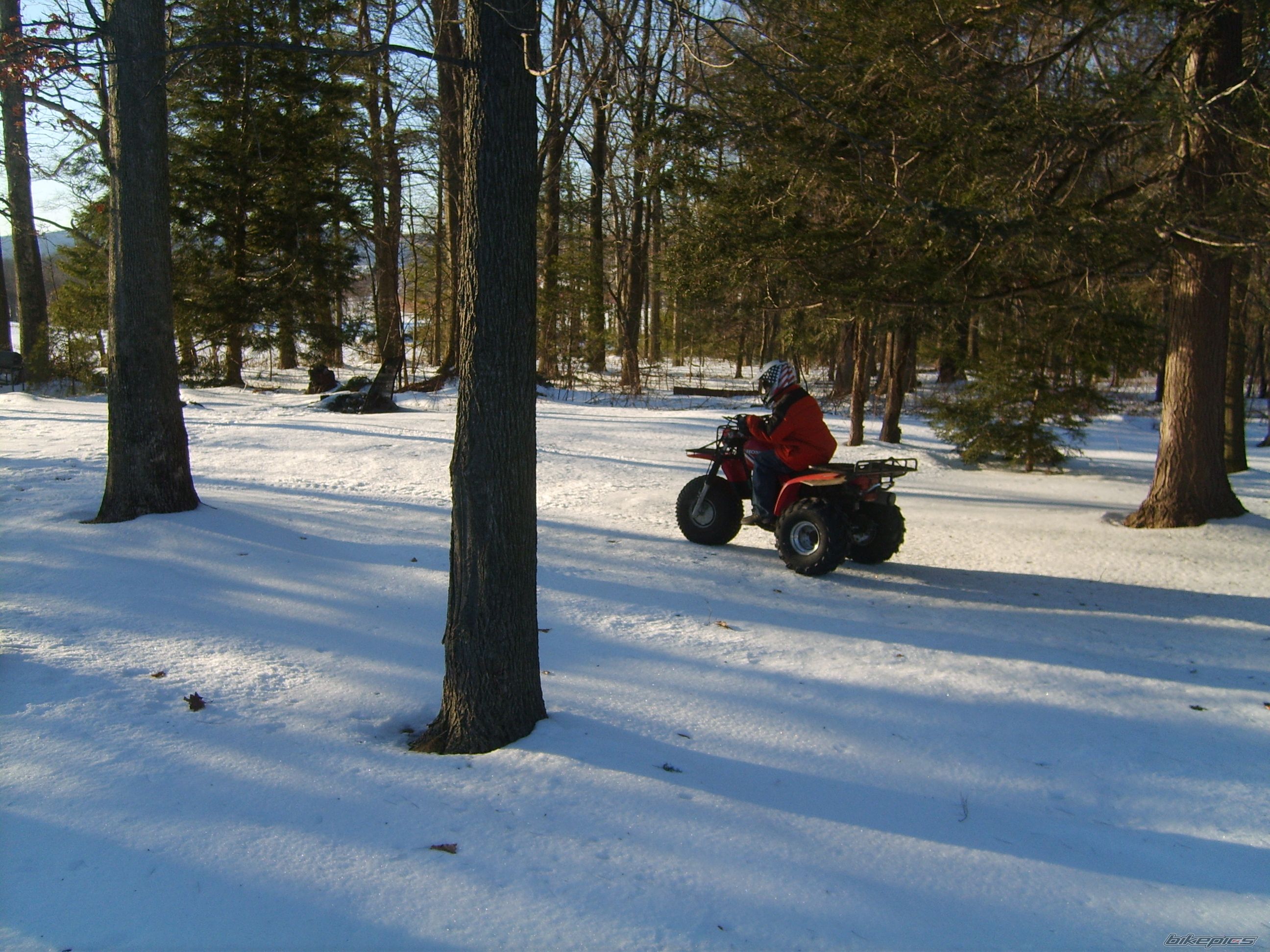    | Picture 871177 motorcycle photo
