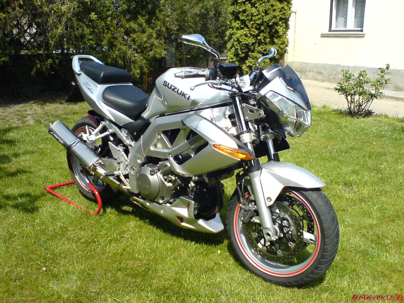 2004 SUZUKI SV 1000 | Picture 871208 motorcycle photo