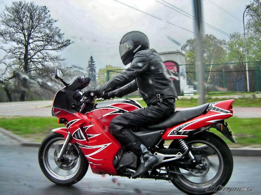 1993 HONDA CB 500 | Picture 871349 motorcycle photo