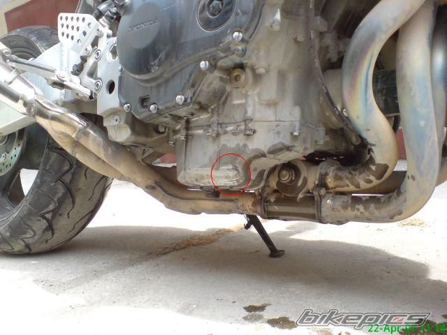 2001 HONDA CBR 900 | Picture 872121 motorcycle photo