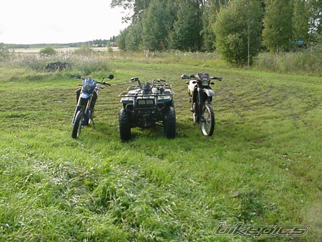 1998 APRILIA RX 50 | Picture 87250 motorcycle photo