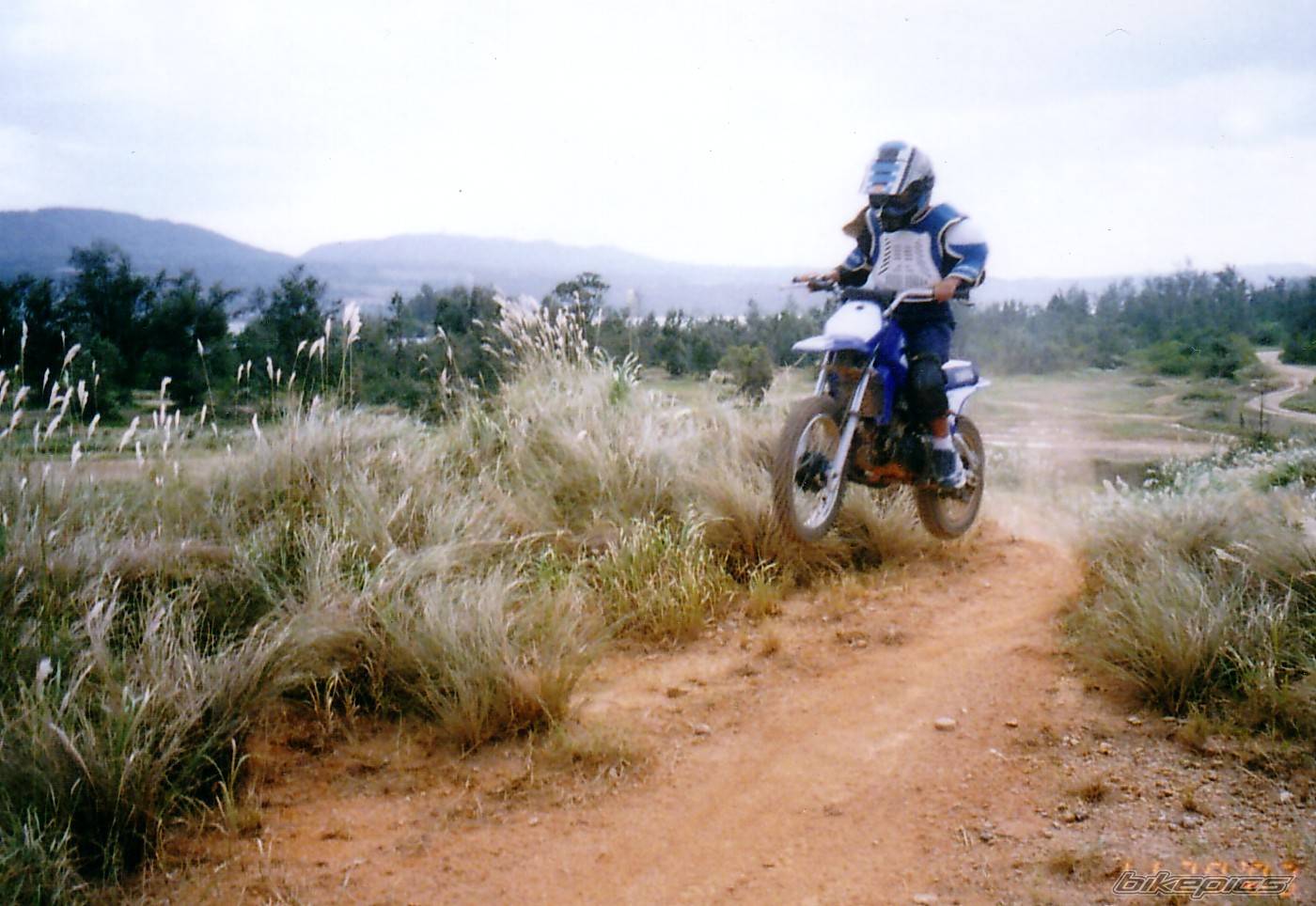 2004 YAMAHA PW 80 | Picture 87259 motorcycle photo