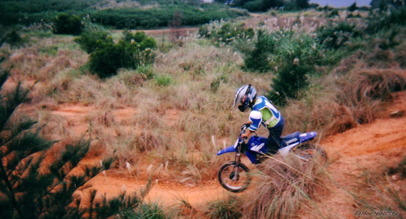 2004 YAMAHA PW 80 | Picture 87260 motorcycle photo