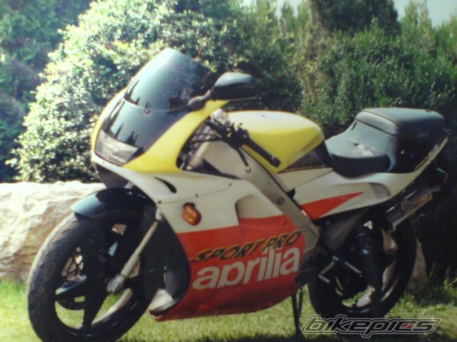 1995 APRILIA AF1 SPORT PRO 125 | Picture 872614 motorcycle photo
