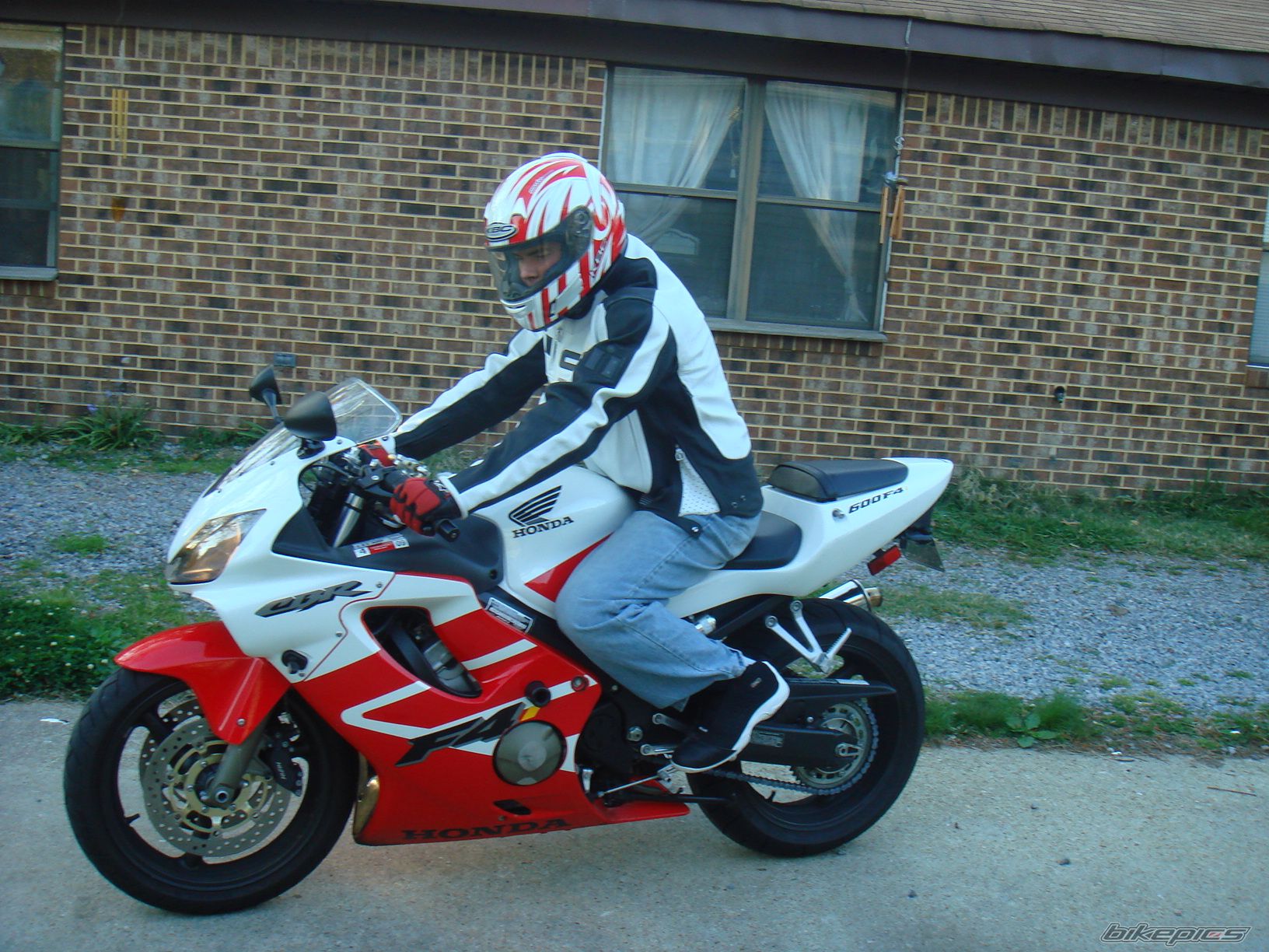 2001 HONDA CBR 600 | Picture 873309 motorcycle photo