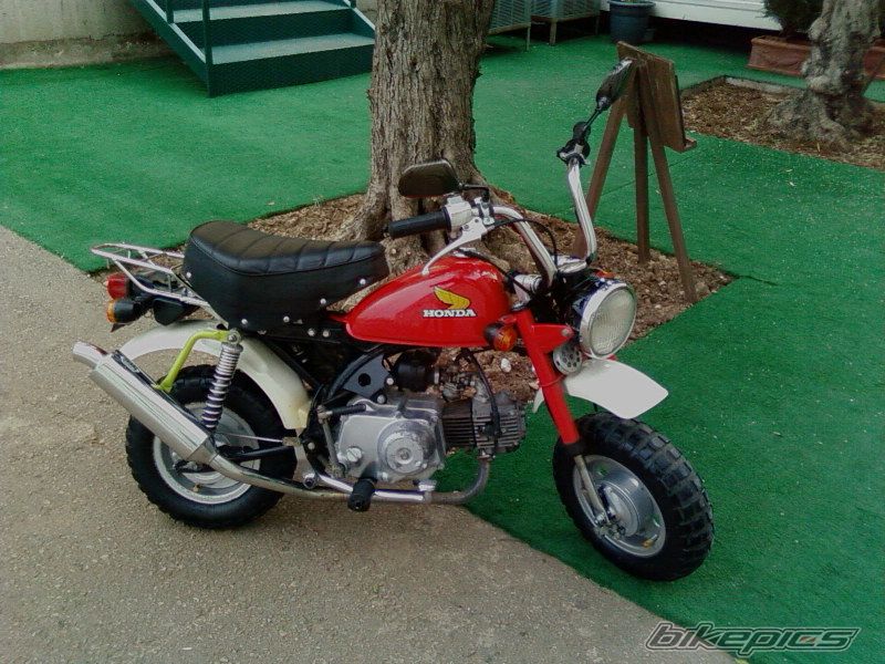 1995 HONDA Z 50 | Picture 873384 motorcycle photo