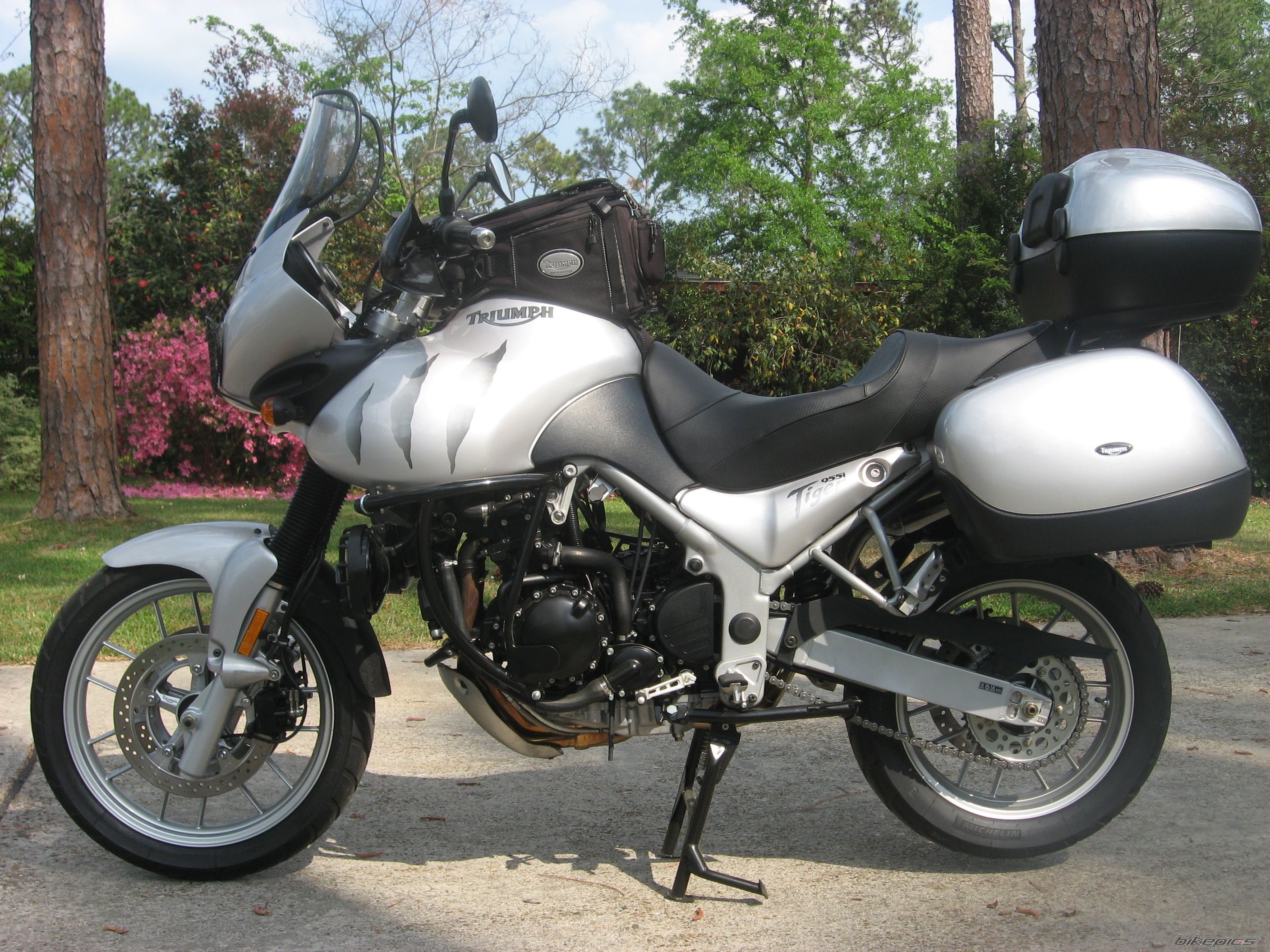 2005 TRIUMPH TIGER | Picture 873429 motorcycle photo