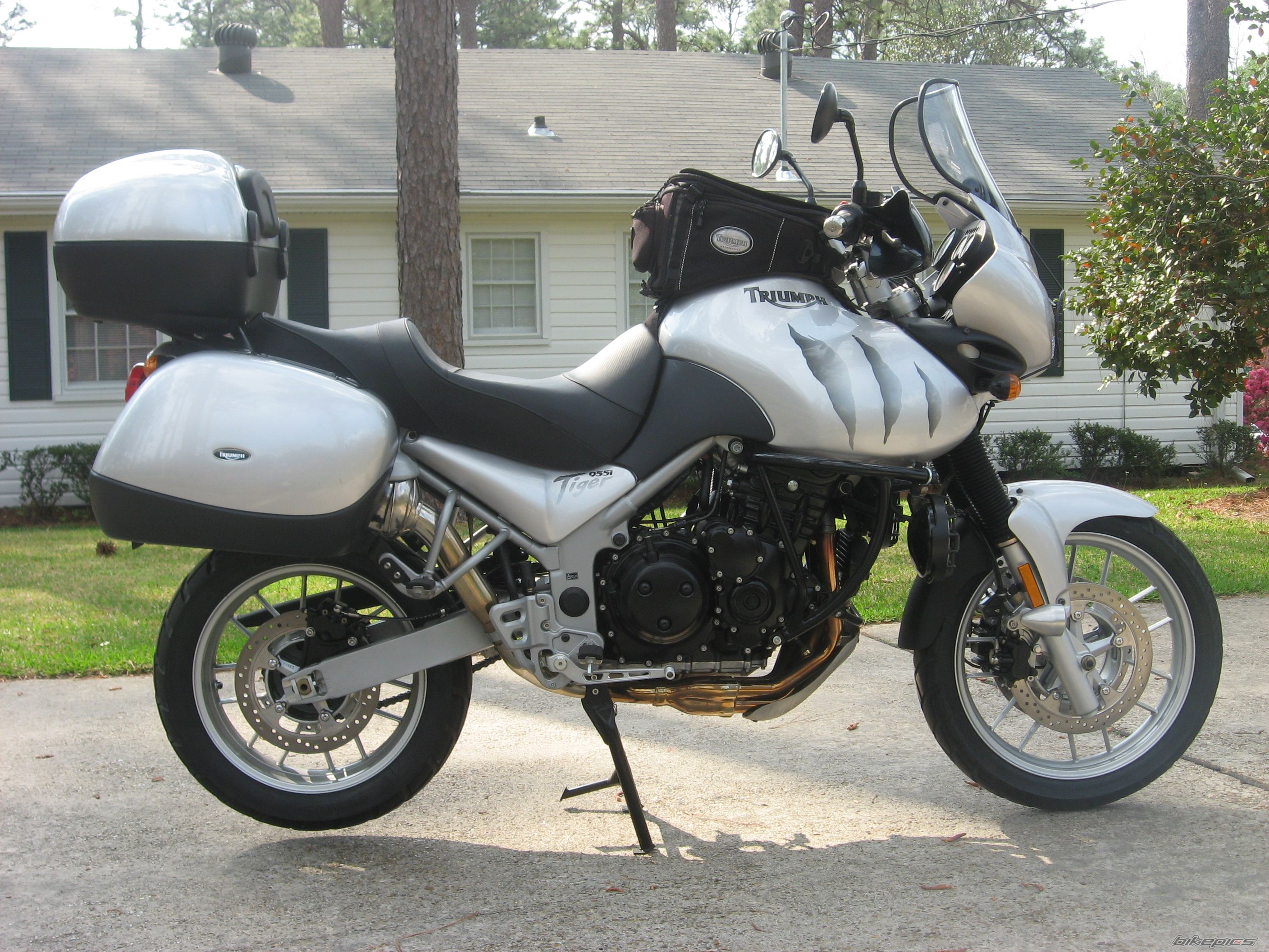 2005 TRIUMPH TIGER | Picture 873431 motorcycle photo