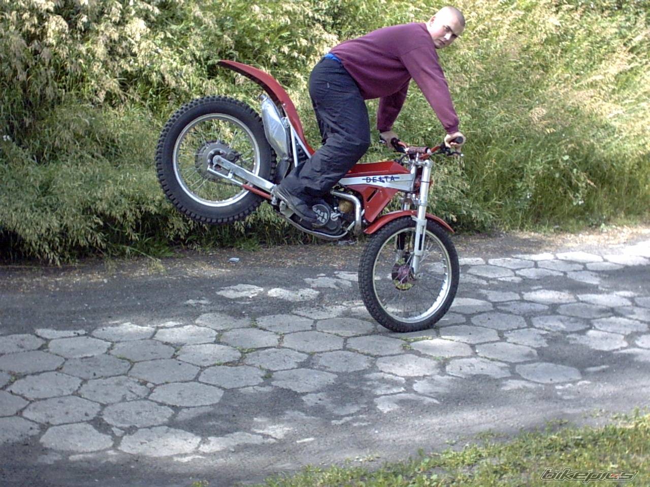 1991 GAS GAS DELTA 250 GT | Picture 87348 motorcycle photo
