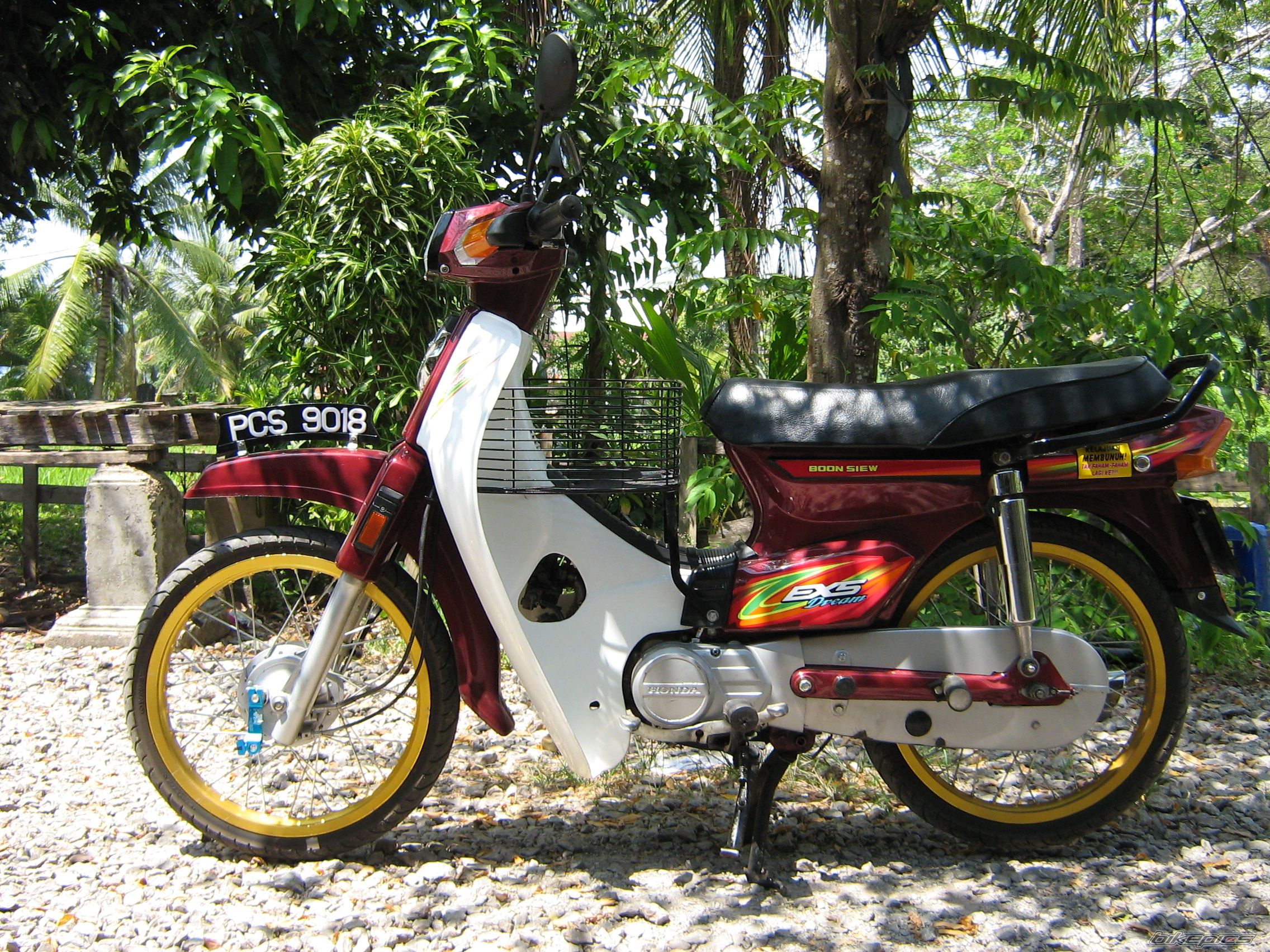 1996 HONDA EX5 DREAM | Picture 873619 motorcycle photo