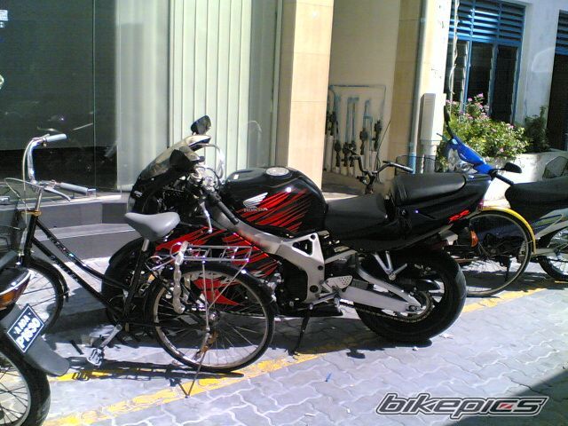 2003 HONDA CBR 900 | Picture 873863 motorcycle photo