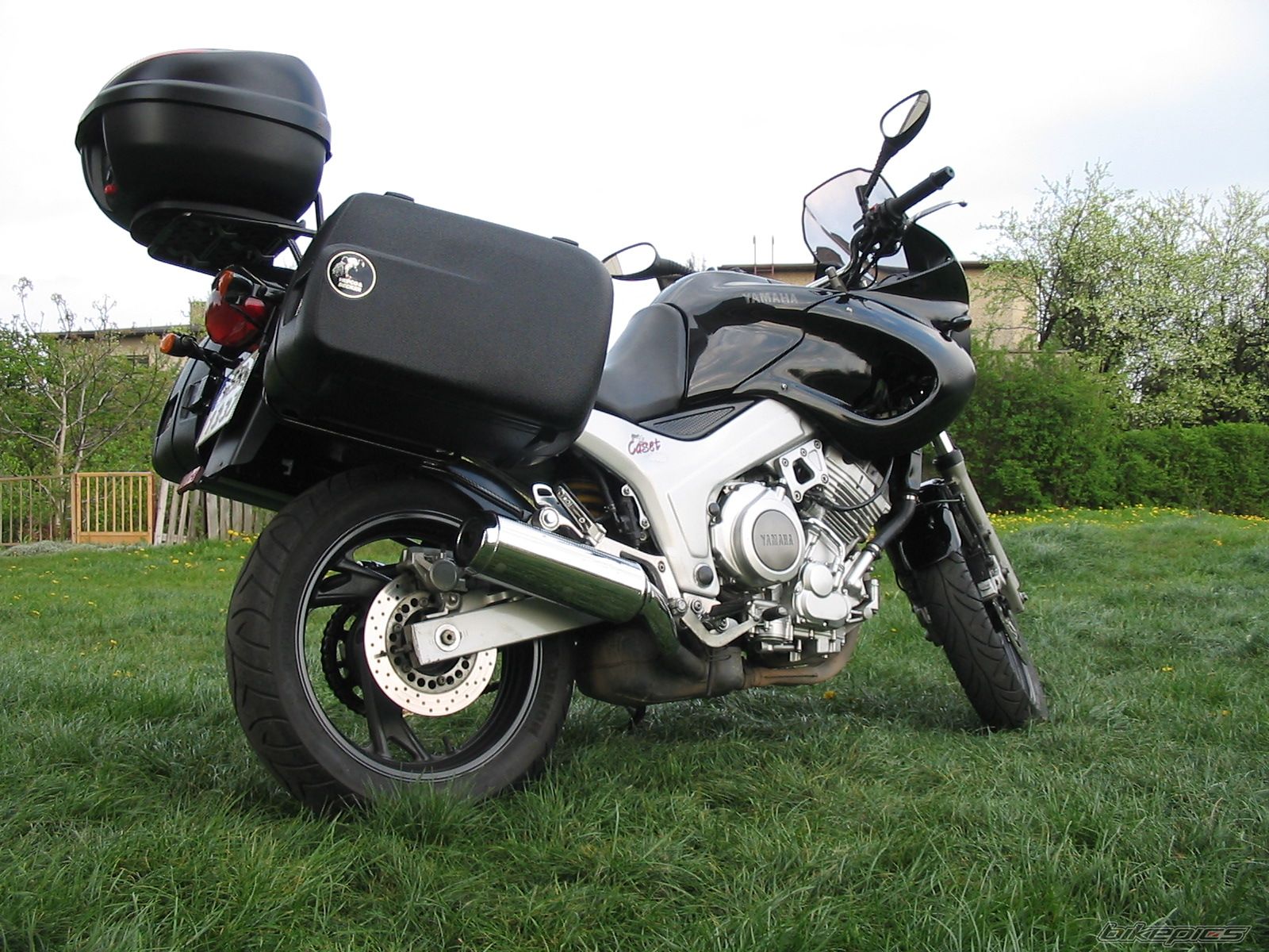 2001 YAMAHA TDM 850 | Picture 875495 motorcycle photo