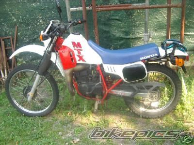 1985 HONDA MTX 50 | Picture 875634 motorcycle photo