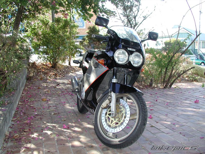 1993 YAMAHA FZR 250 | Picture 875999 motorcycle photo