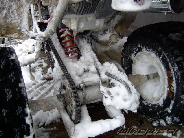 2000 YAMAHA WARRIOR | Picture 87637 motorcycle photo