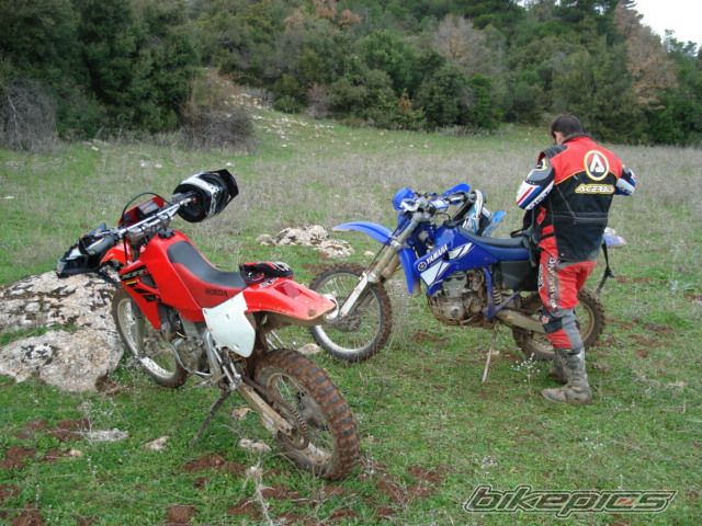 2004 HONDA XR 650 | Picture 877222 motorcycle photo