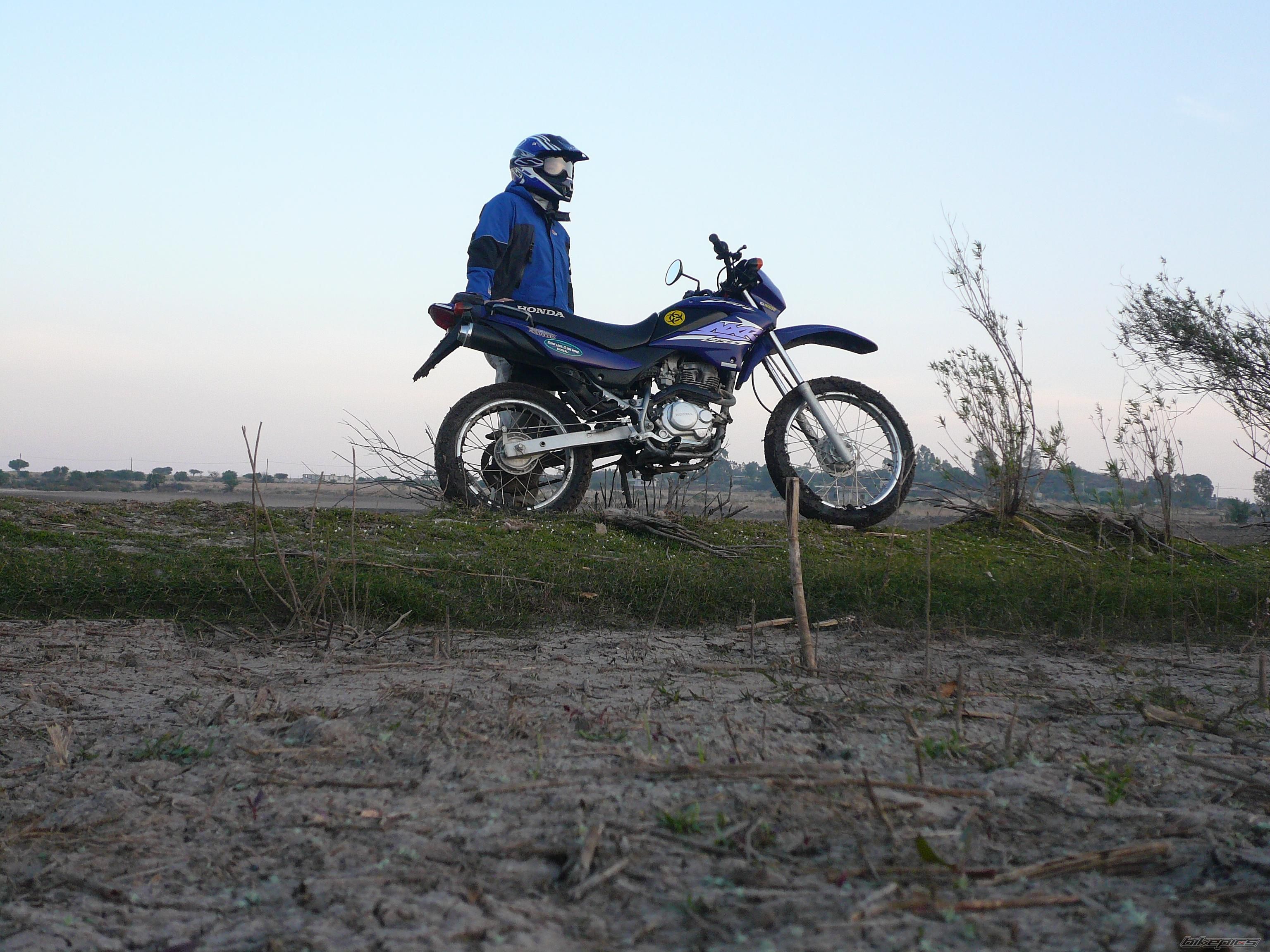 2004 HONDA NXR 125 | Picture 877241 motorcycle photo