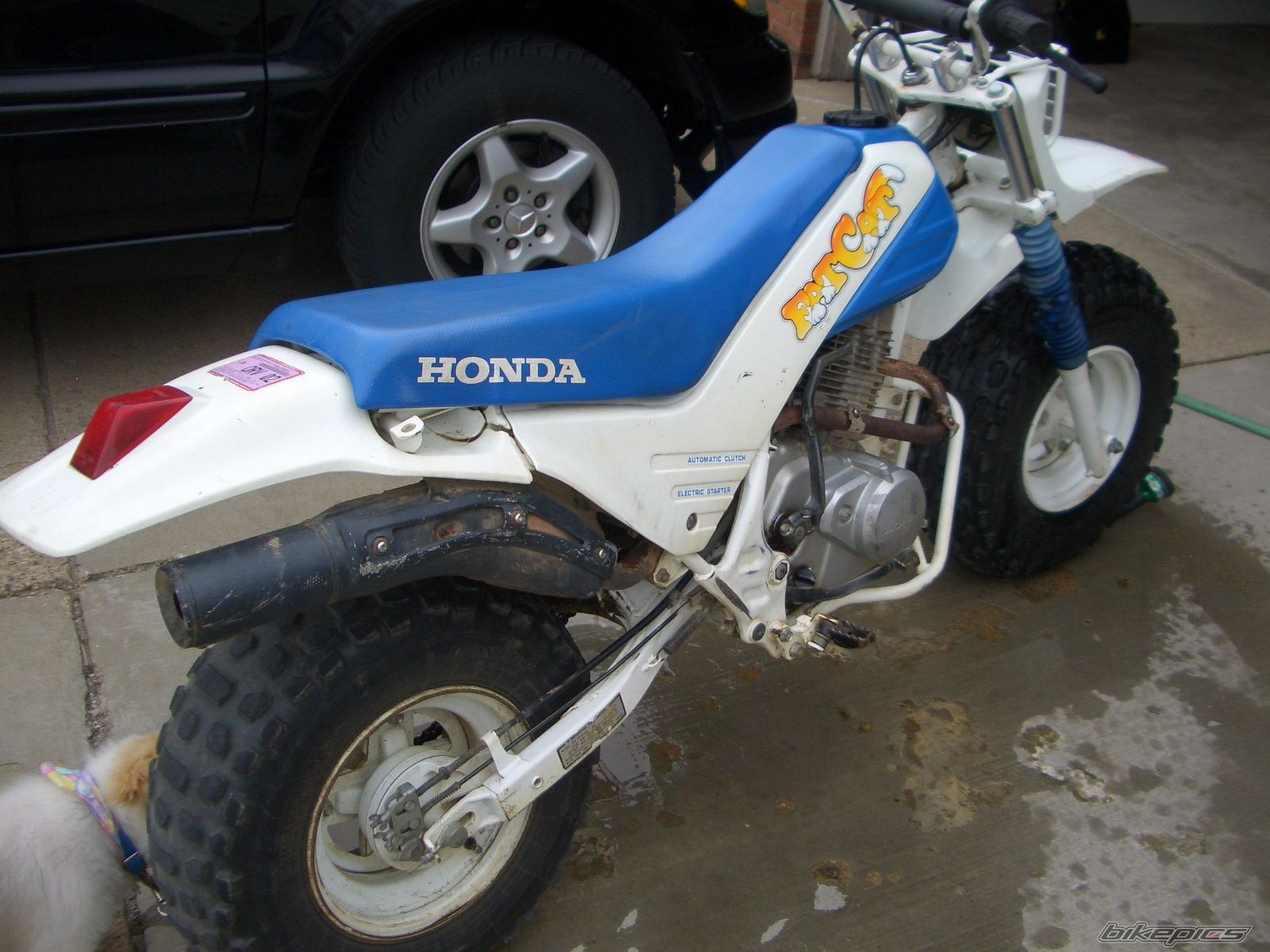 1986 HONDA TR200 FATCAT | Picture 877535 motorcycle photo