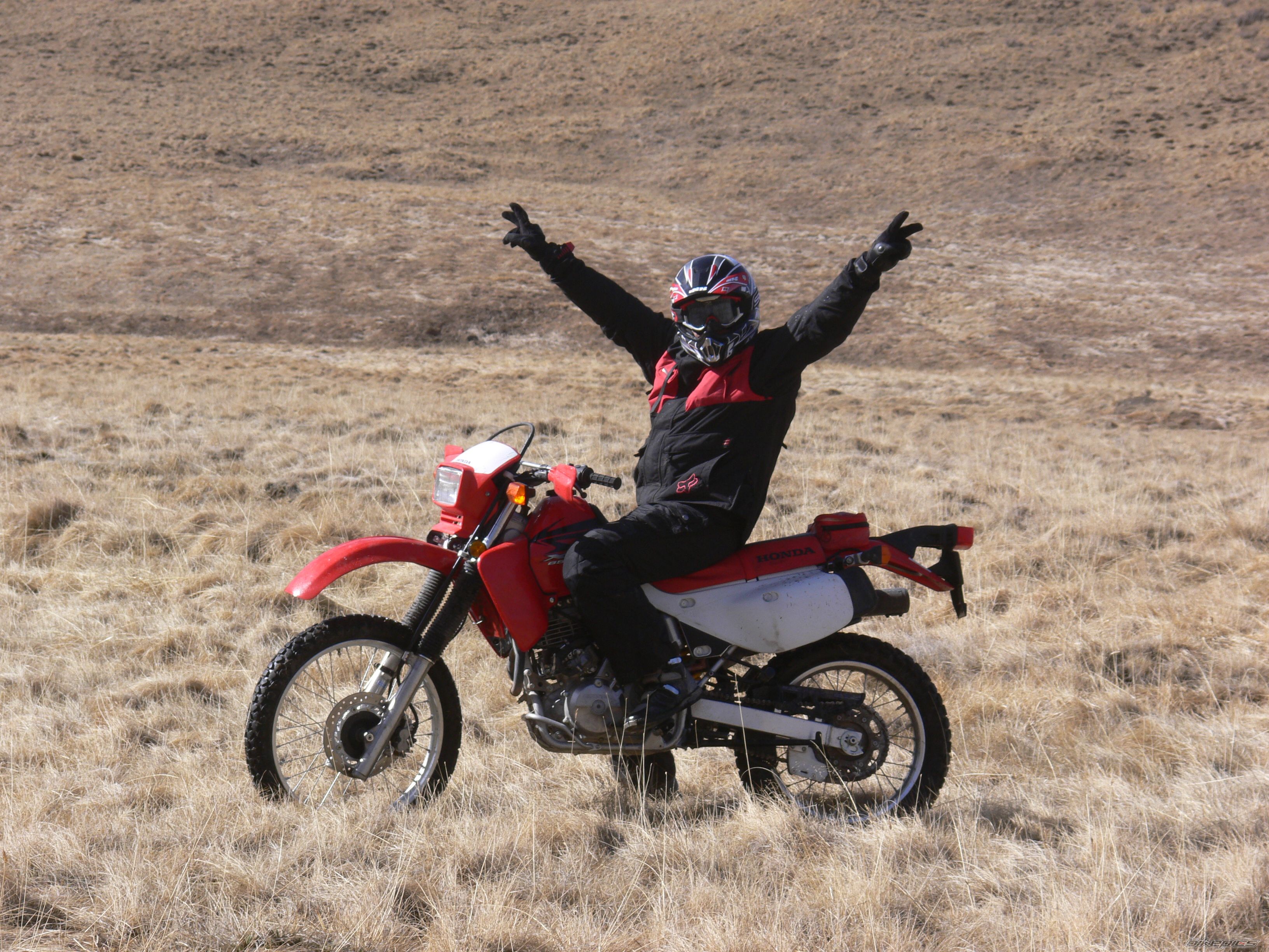 2007 HONDA XR 650 | Picture 878018 motorcycle photo