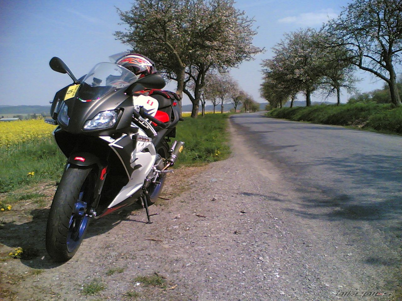 2006 APRILIA RS 125 | Picture 878113 motorcycle photo