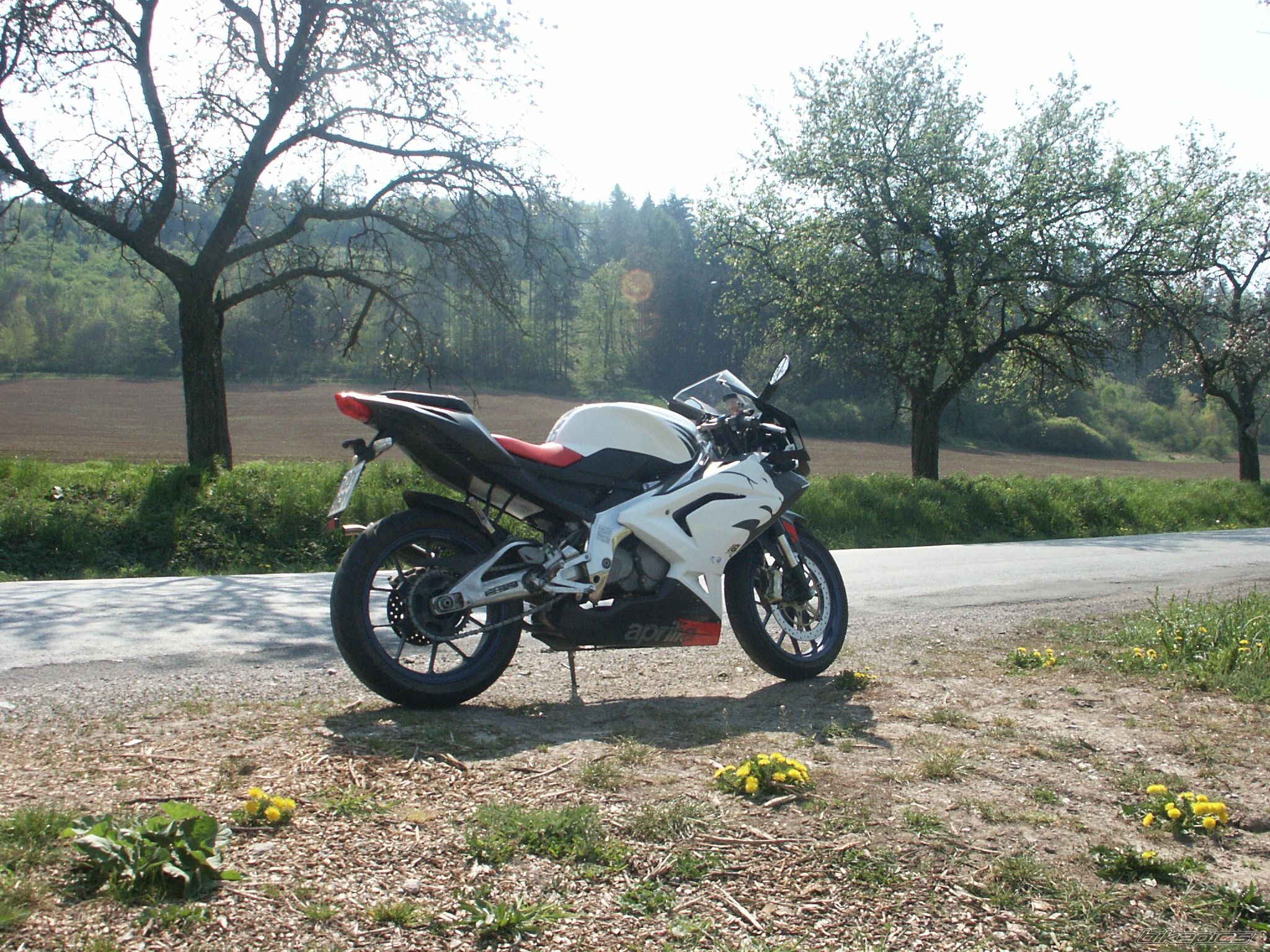 2006 APRILIA RS 125 | Picture 878127 motorcycle photo