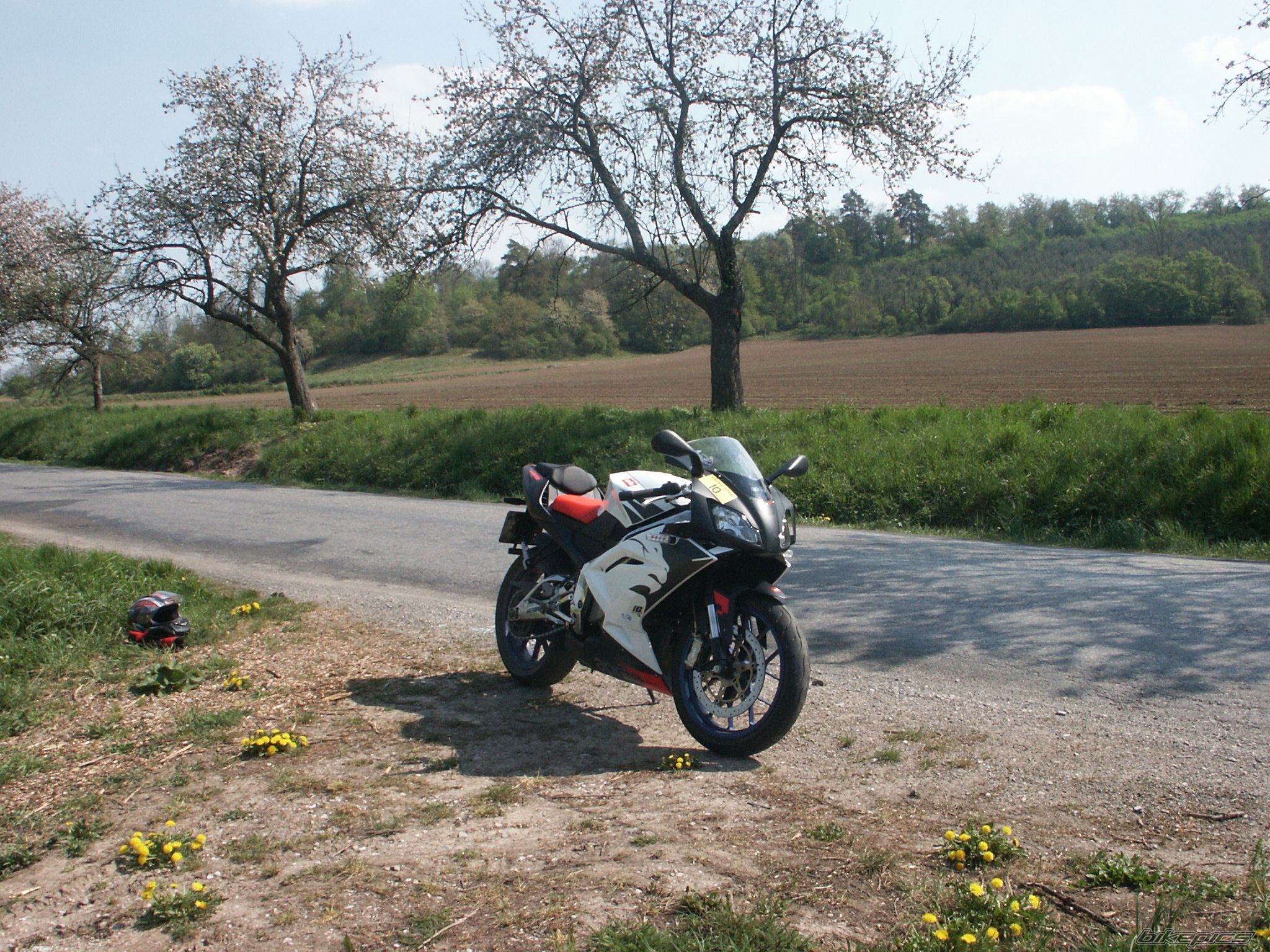 2006 APRILIA RS 125 | Picture 878130 motorcycle photo