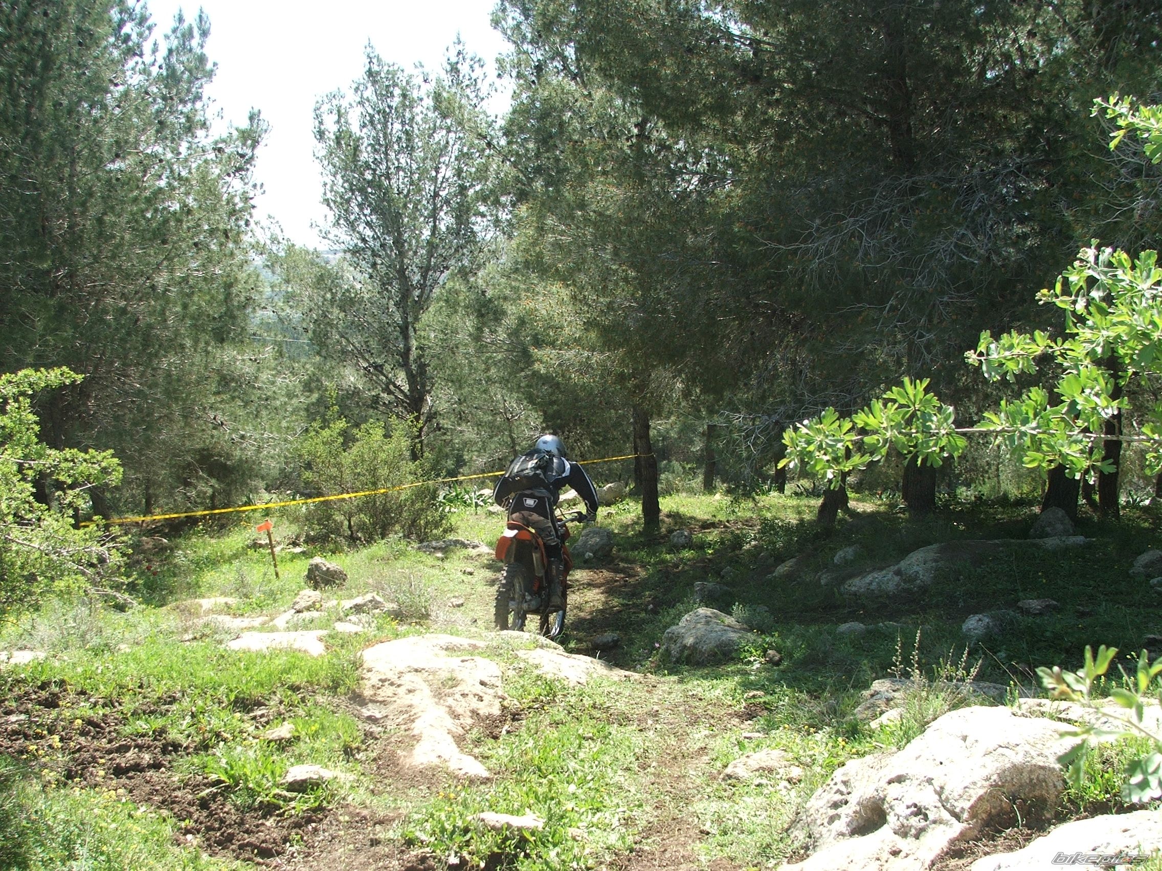 2006 KTM 125 EXC | Picture 878417 motorcycle photo